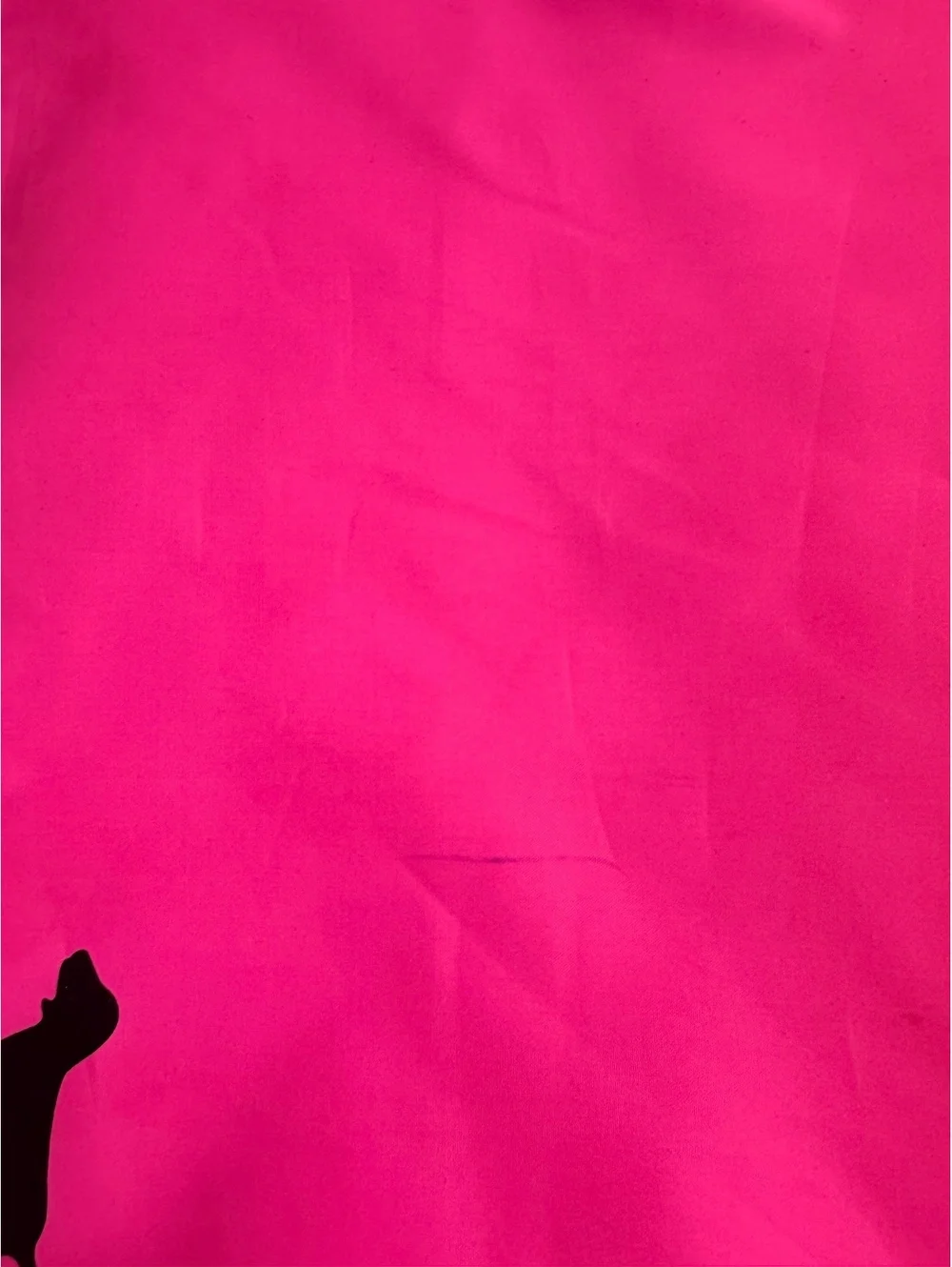 Victoria's Secret PINK Bright Pink Lunch Bag with Rainbow Strap